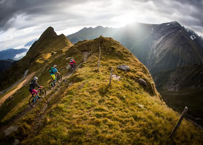 Alpenparks & Orgler Апарт-отель 4*